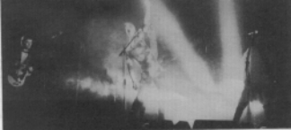 newrare20.gif (35989 bytes)