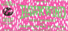 tickets19920505.gif (81158 bytes)