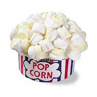 popcorn.jpg (5242 bytes)
